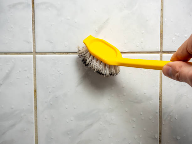 Best Mold Inspection  in Standish, MI