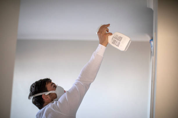 Best Toxic Mold Removal  in Standish, MI