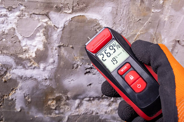 Best Mold Damage Repair  in Standish, MI