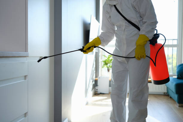 Certified Mold Removal in Standish, MI