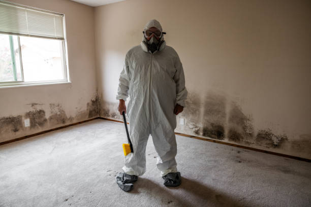 Best Mold Damage Repair  in Standish, MI